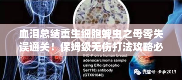 血淚總結(jié)重生細胞蜱蟲之母零失誤通關(guān)！保姆級無傷打法攻略必存
